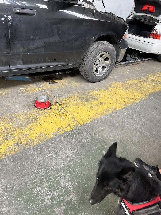 Автосервиз Бургас Порт