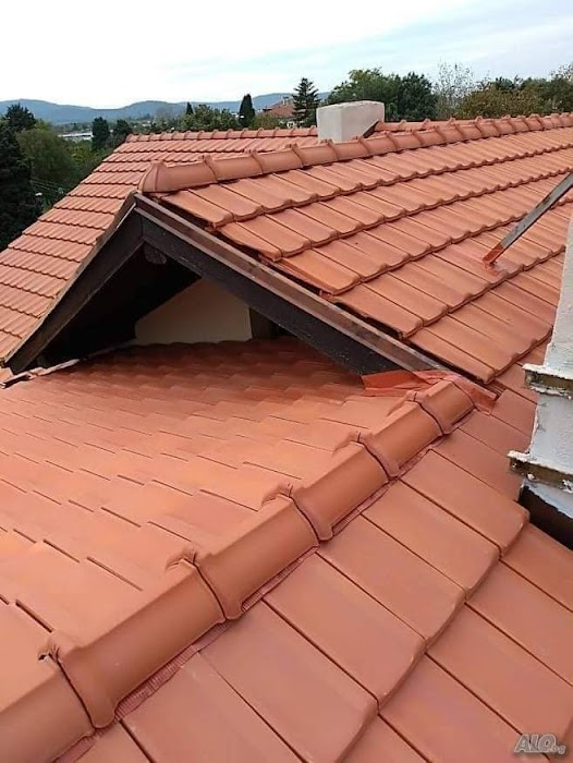 Roofing Contractor