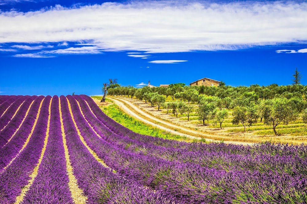 Bulgarian Company of Tourism