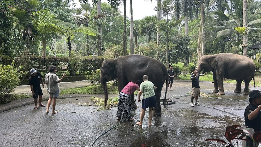 Elfy Tours