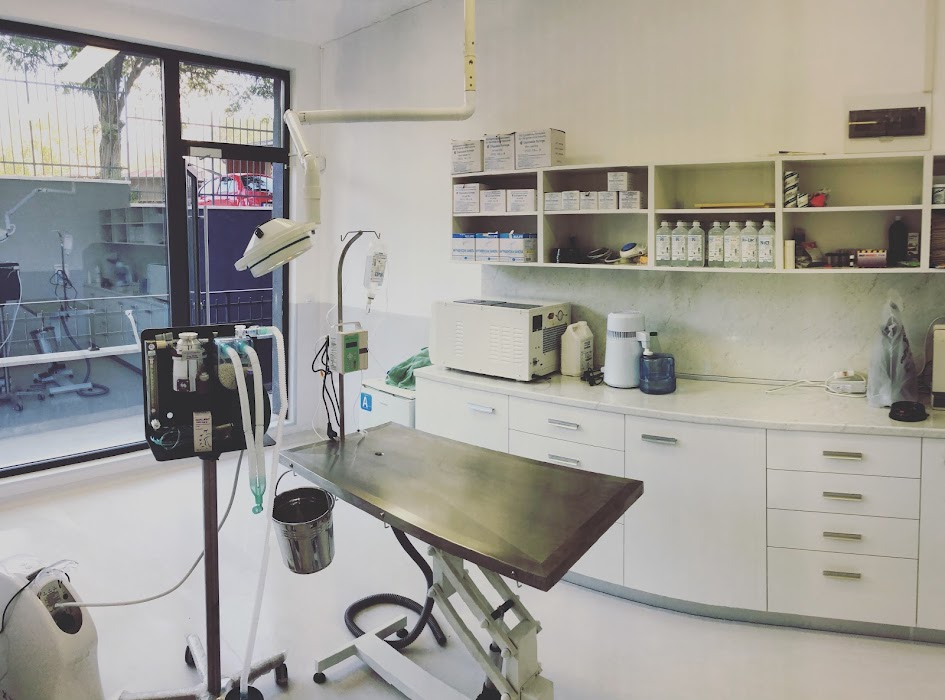 Antonov Vet Clinic