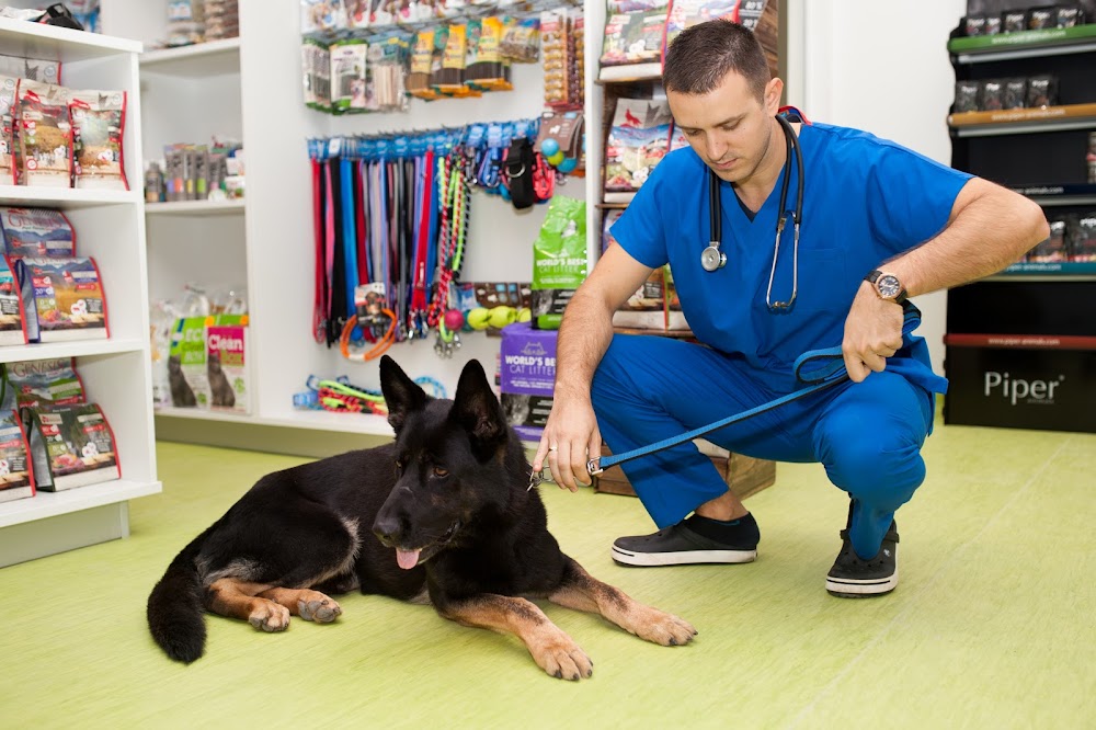 Antonov Vet Clinic