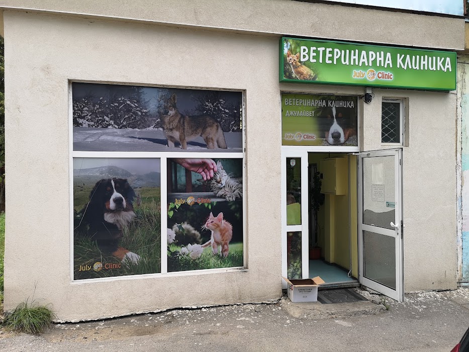 July Vet Veterinary Clinic