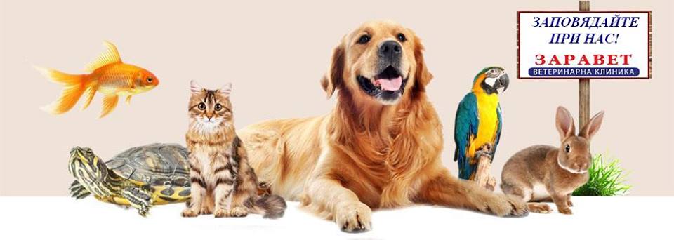 Zaravet - Veterinary Clinic and Pet Shop