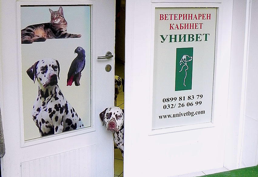 “UniVet” Veterinary office