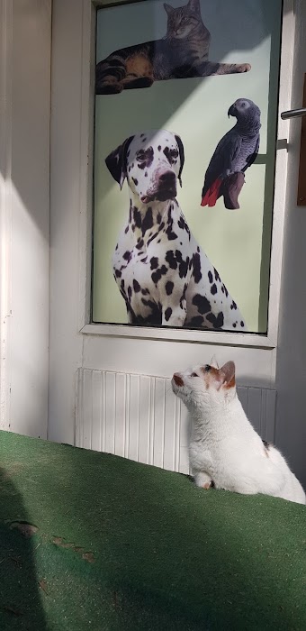 “UniVet” Veterinary office