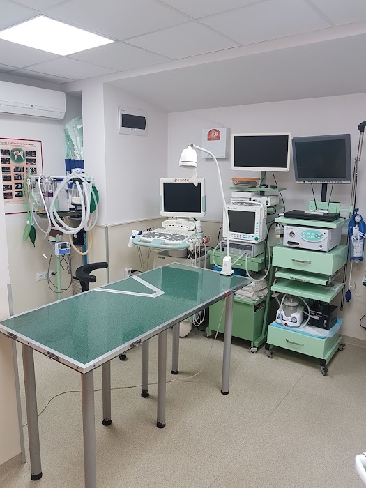 Obedinena veterinary clinic