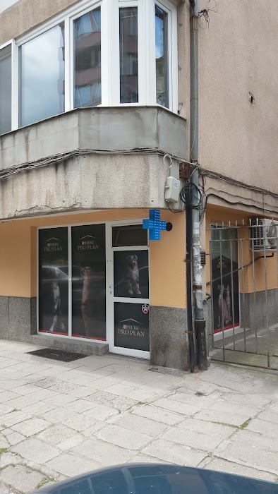 Dr. Koko Ltd