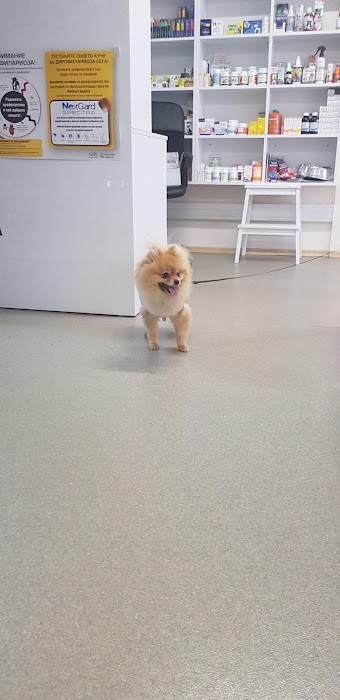 City Veterinary Clinic