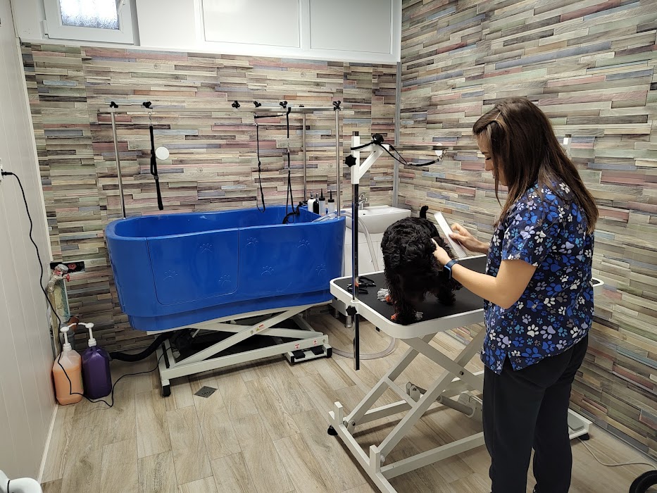 Verti Veterinary Clinic X Tail Plovdiv