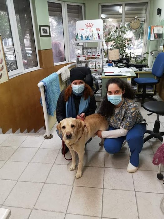 Best Vet (Бест Вет)