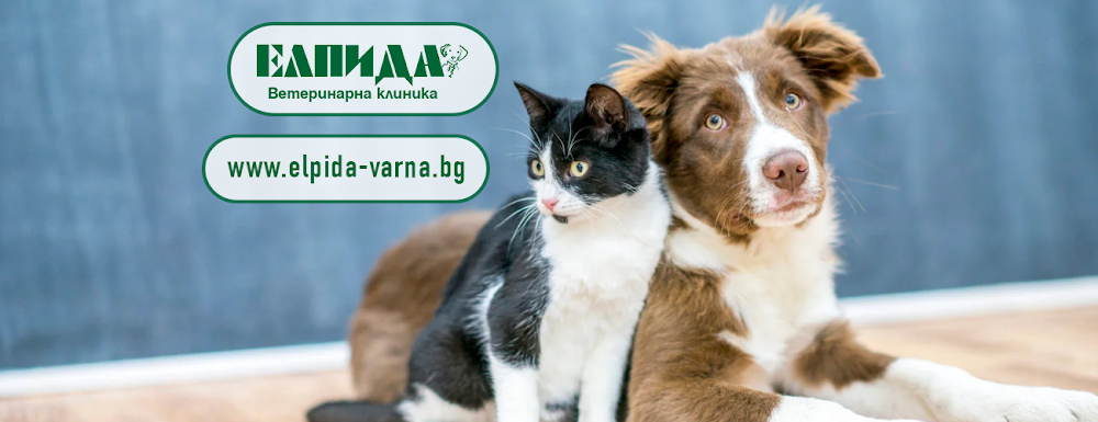 Veterinary office "Elpida"