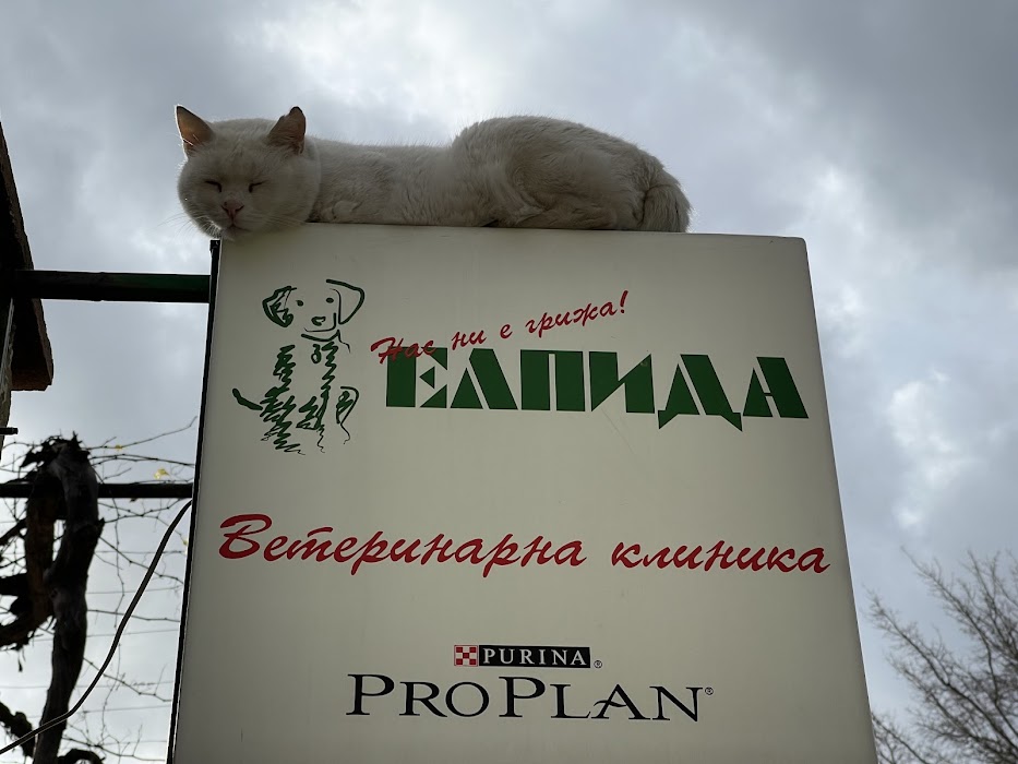 Veterinary office "Elpida"