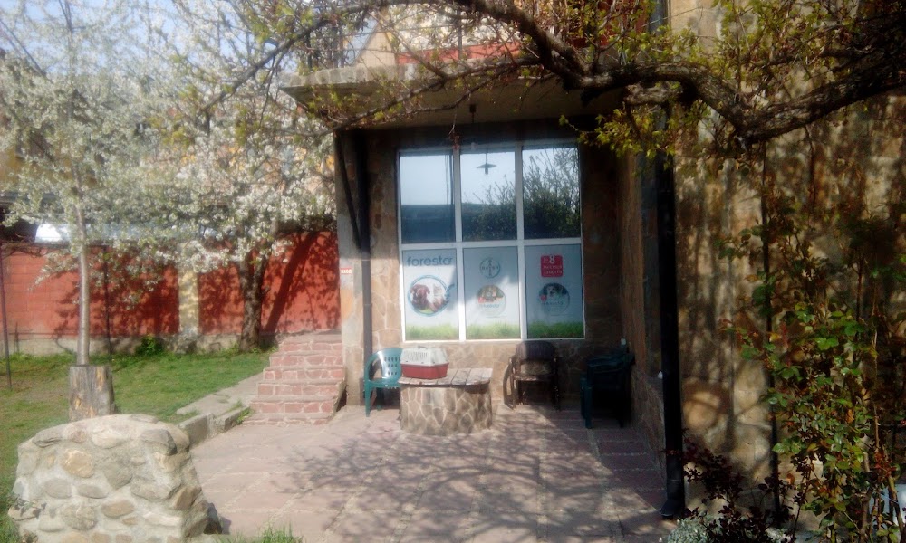 Orion - Vet Clinic