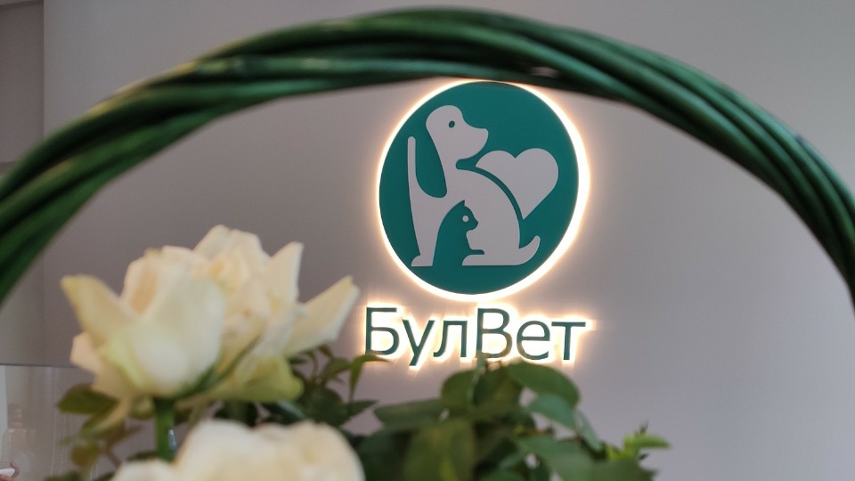BulVet Clinic