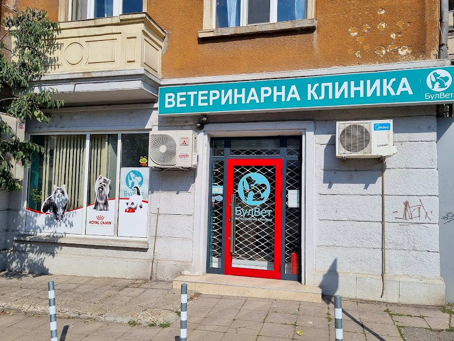 BulVet Clinic