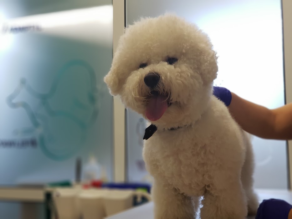BulVet Clinic