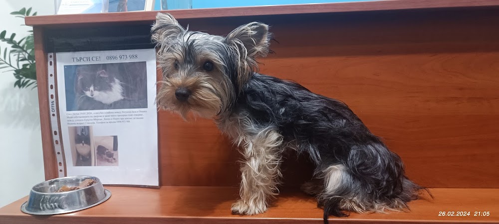Vet clinic Odesos