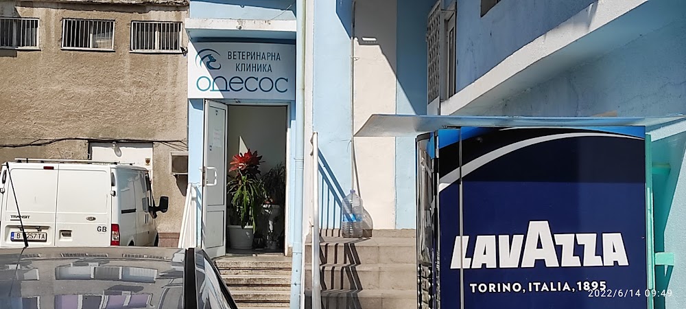 Vet clinic Odesos