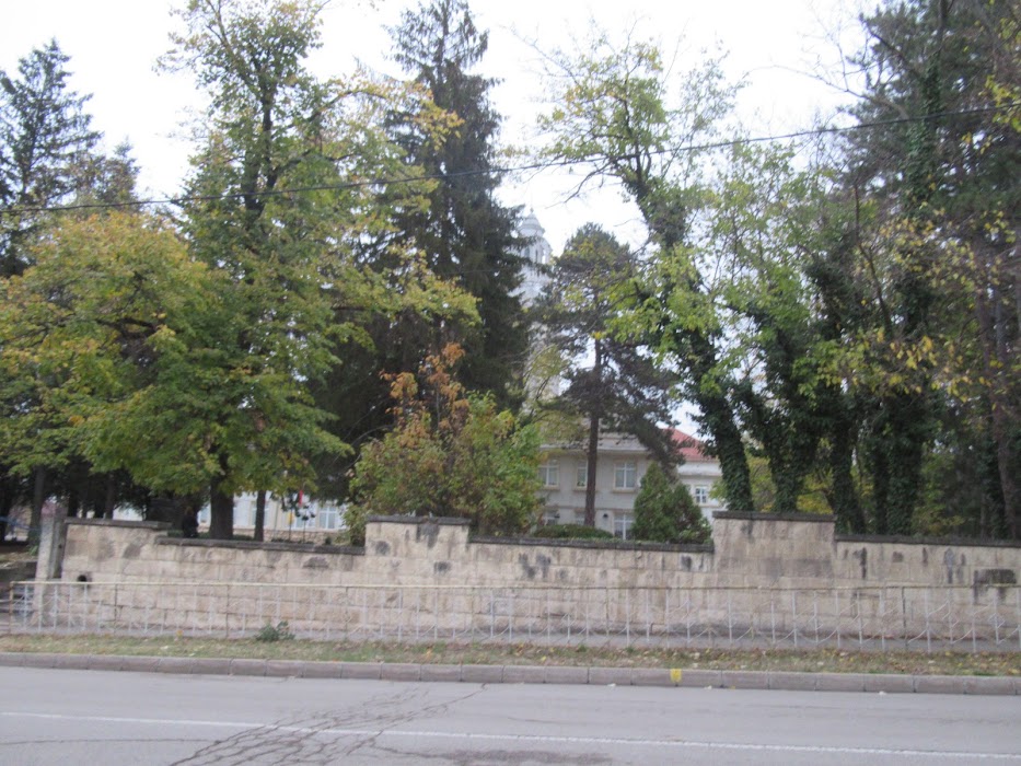 School "Vasil Levski"