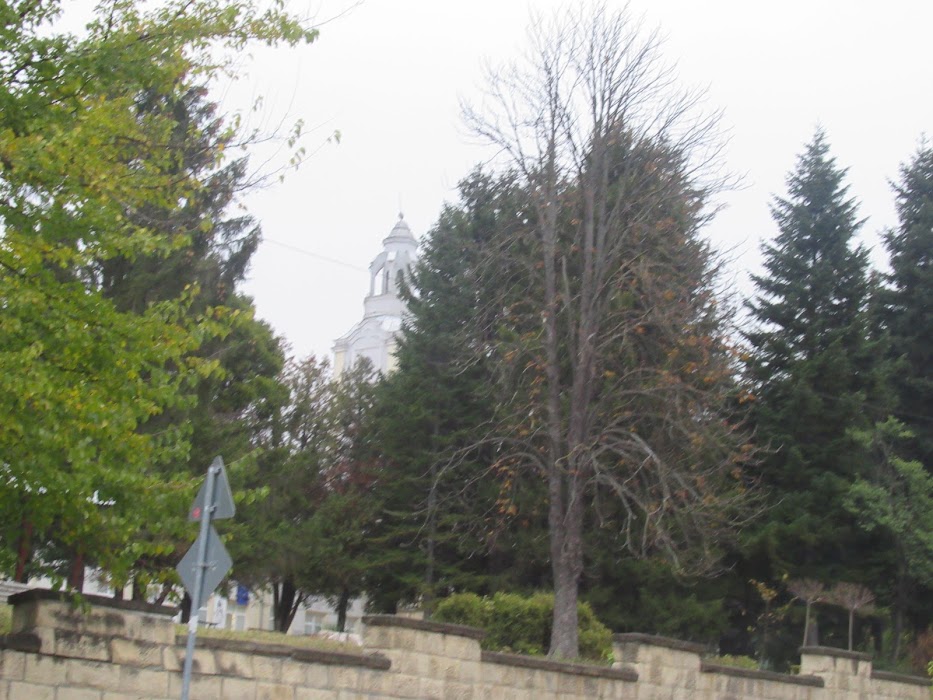 School "Vasil Levski"