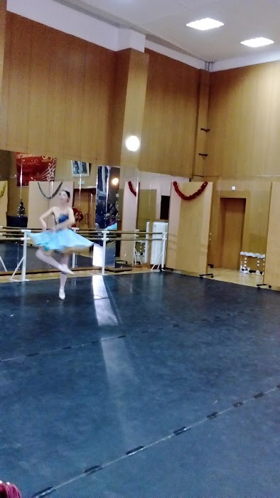 Dobrin Petkov National School of Music and Dance