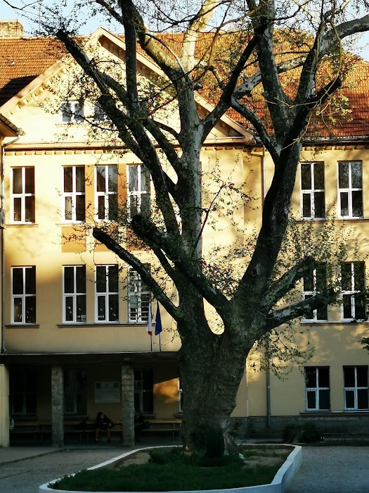 Dobrin Petkov National School of Music and Dance