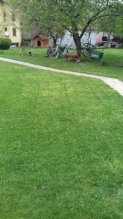 Profesionalna Gimnaziya PO Ikonomika, Targoviya I Uslugi