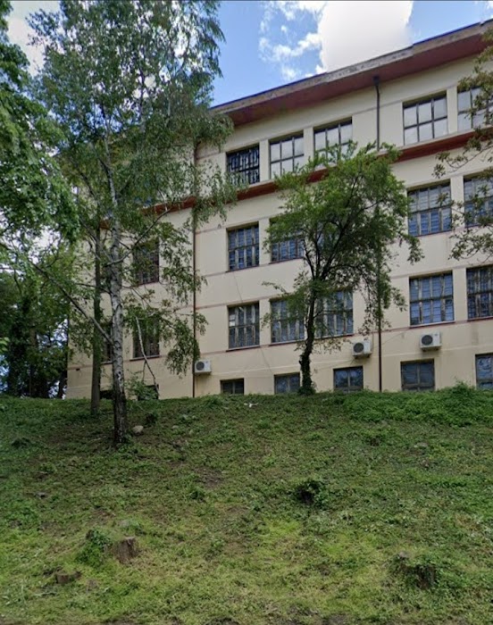 PROFESSIONAL SCHOOL OF CLOTHING AND BUSINESS MANAGEMENT