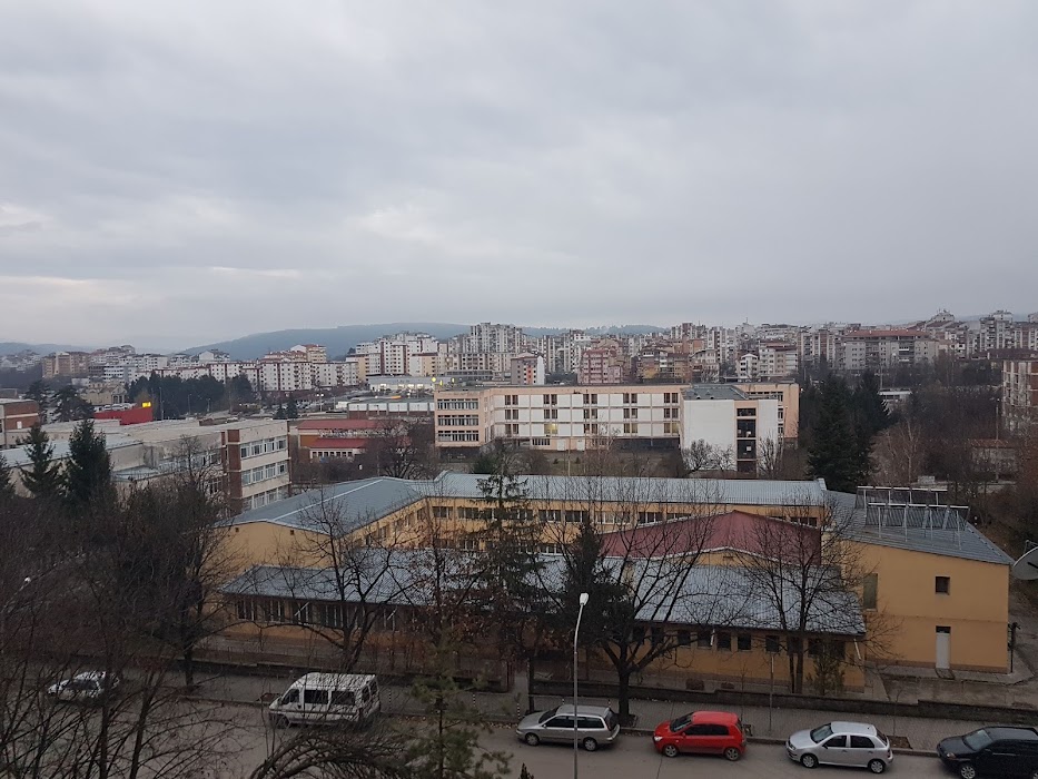 A.S. Popov School of Electronics