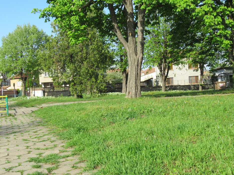 Bacho Kiro High School