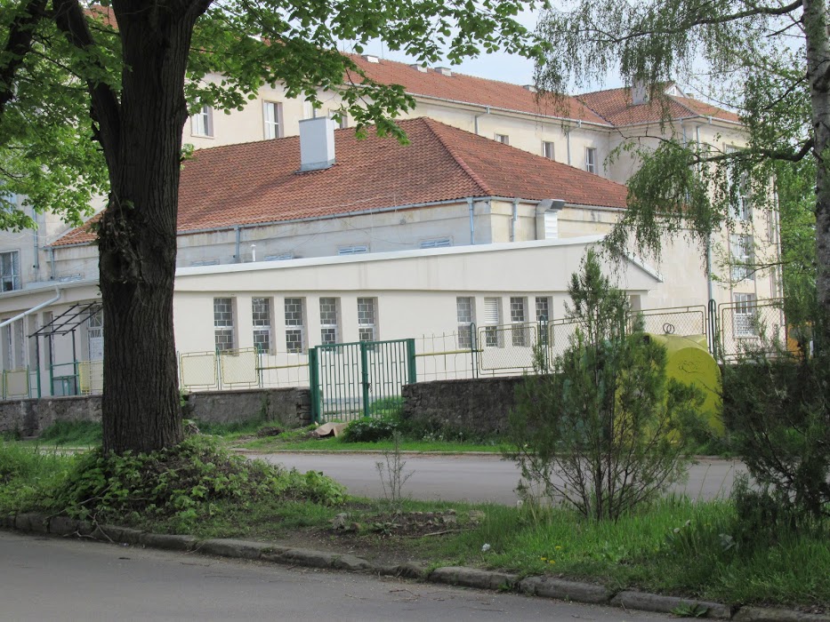 Bacho Kiro High School
