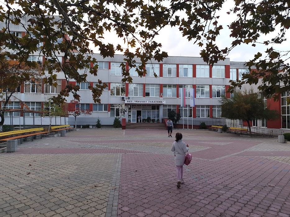 Primary School Mihail Lakatnik