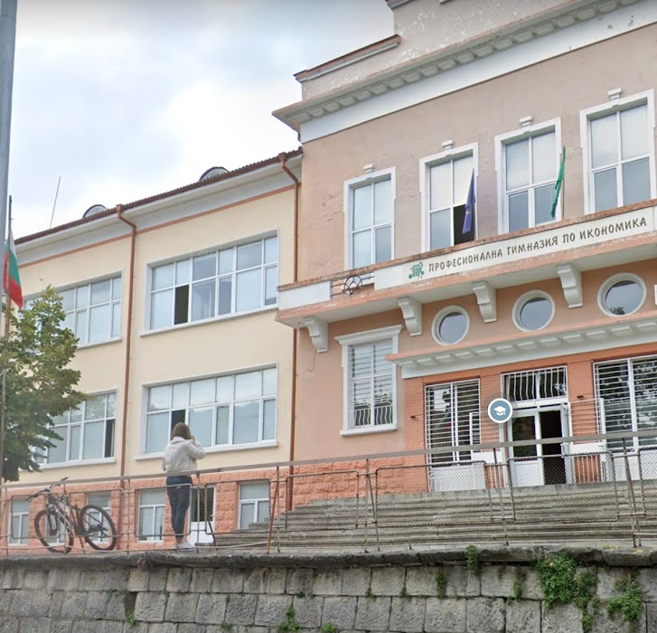 Professional School of Economics