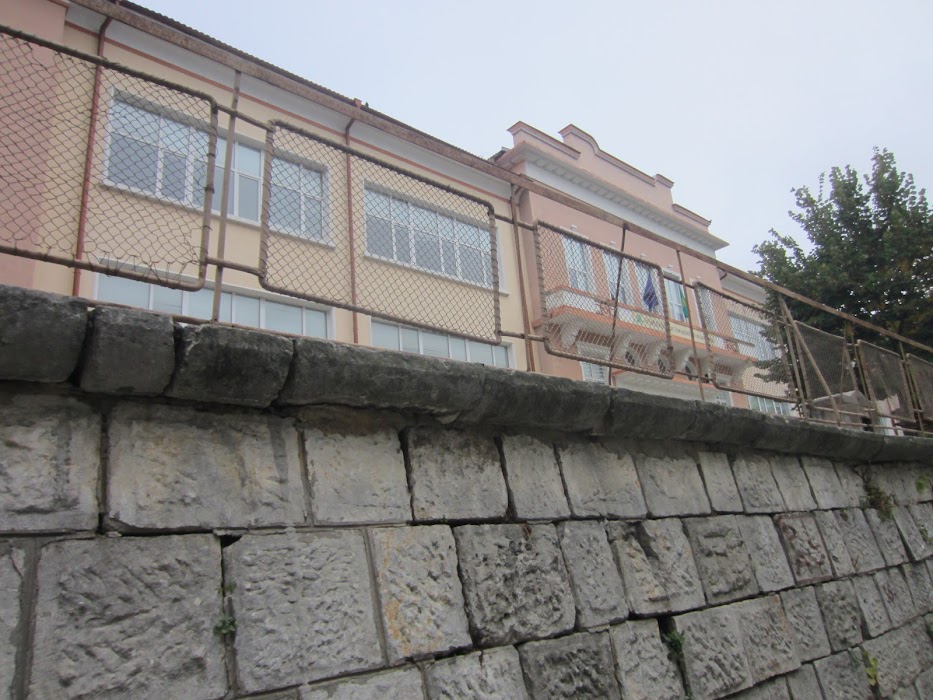 Professional School of Economics