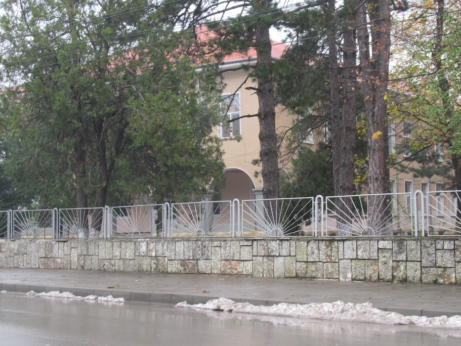High School "Vasil Levski"
