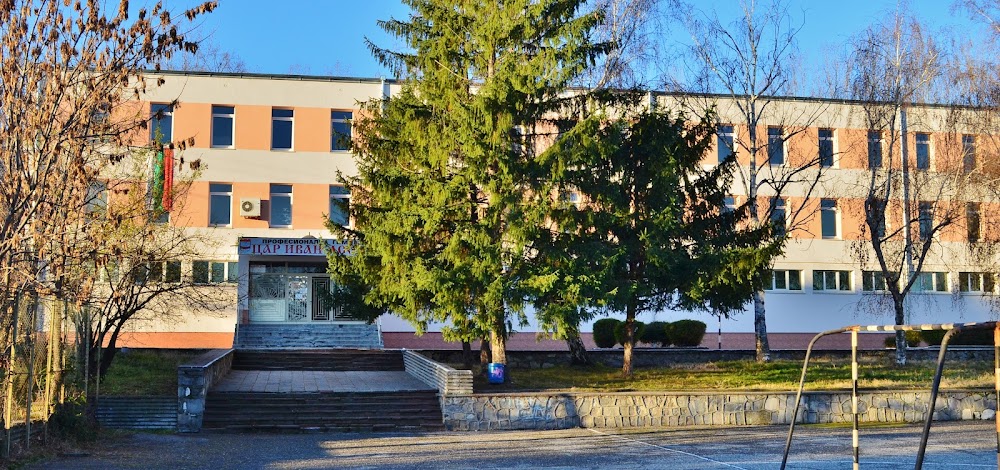Professional Secondary School Tsar Ivan Asen II