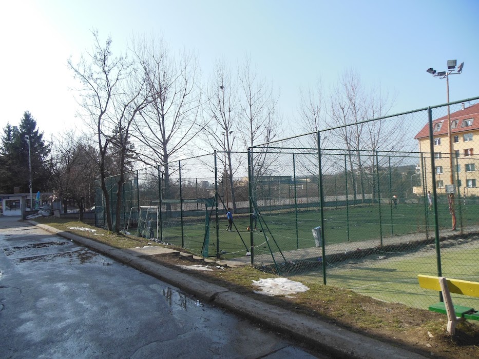 High School G.S.Rakovski