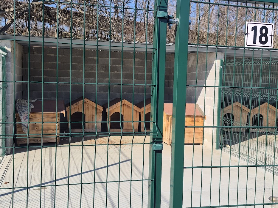 Кучешки приют Горна Оряховица