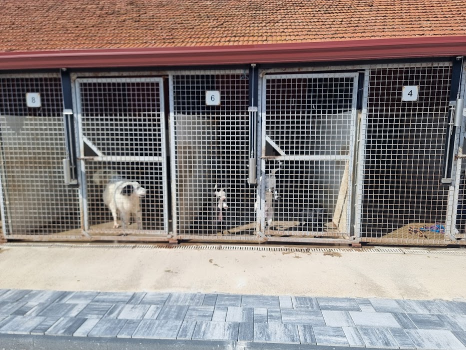 Animal Rescue Sofia