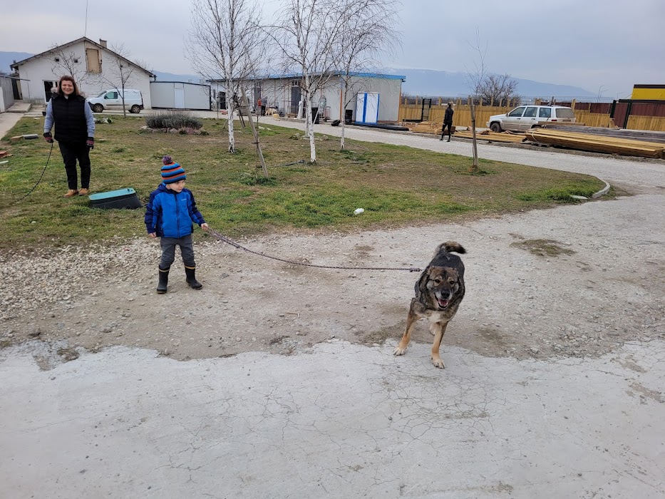 Animal Rescue Sofia