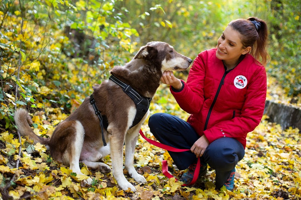 FOUR PAWS Bulgaria