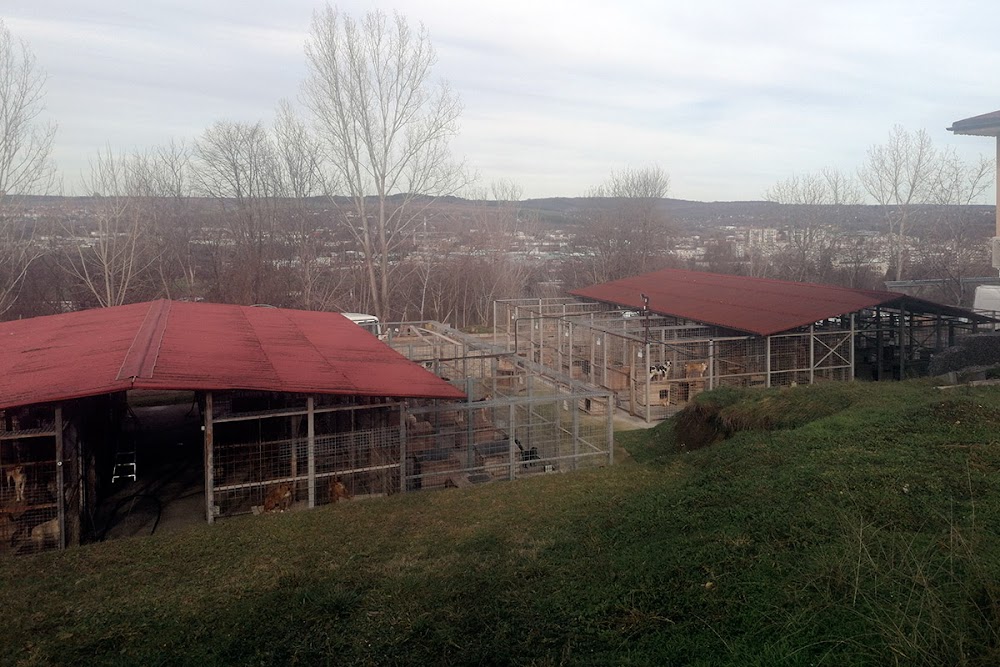 Animal shelter