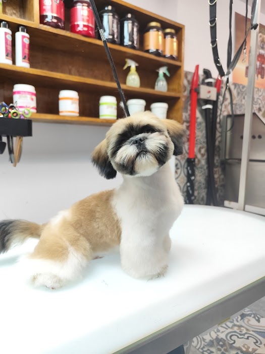 Fluff & Buff - Groomer and zoomarket