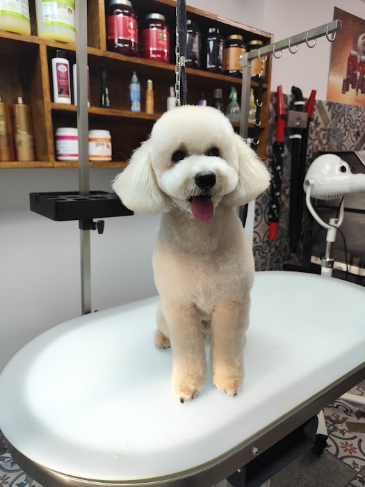 Fluff & Buff - Groomer and zoomarket
