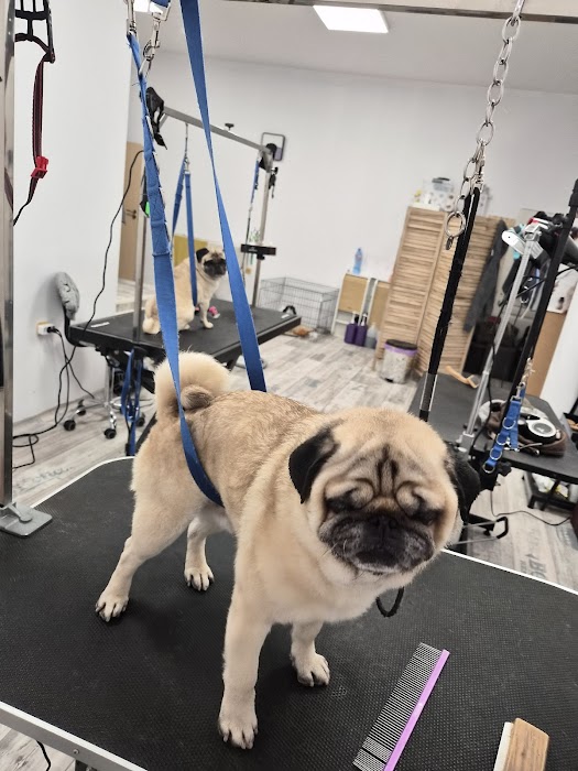 HAPPY PET SPA & GROOMING