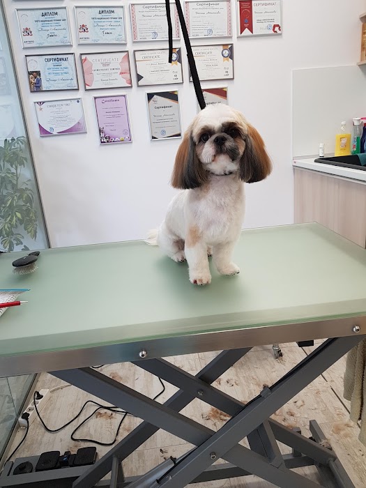 Grooming Studio Dog Star