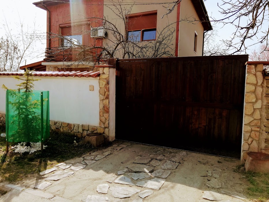 Instinct Dog Hotel