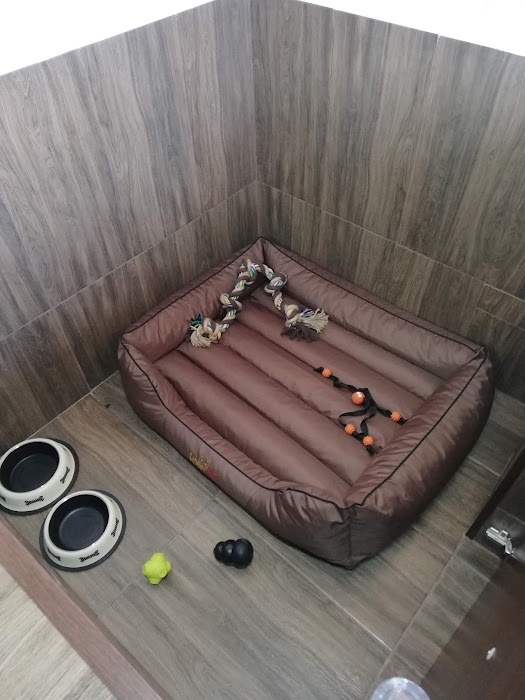 Instinct Dog Hotel