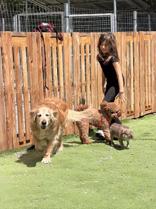 Puppy Bubbles Hotel & Grooming